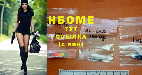 стаф Абинск